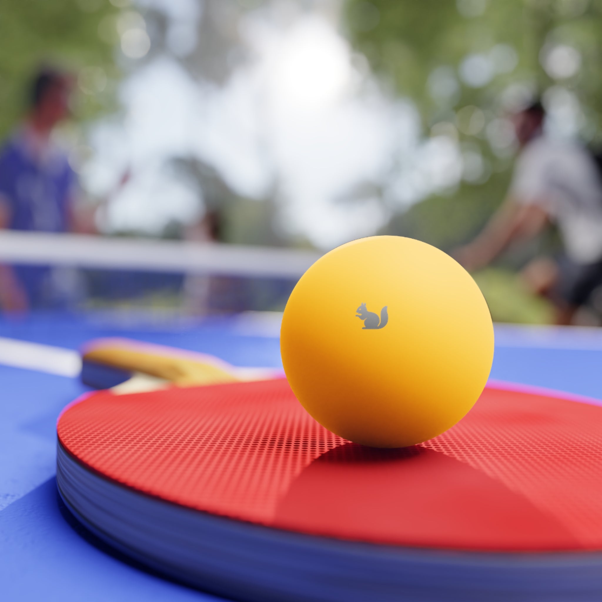 Ping Pong Balls Set